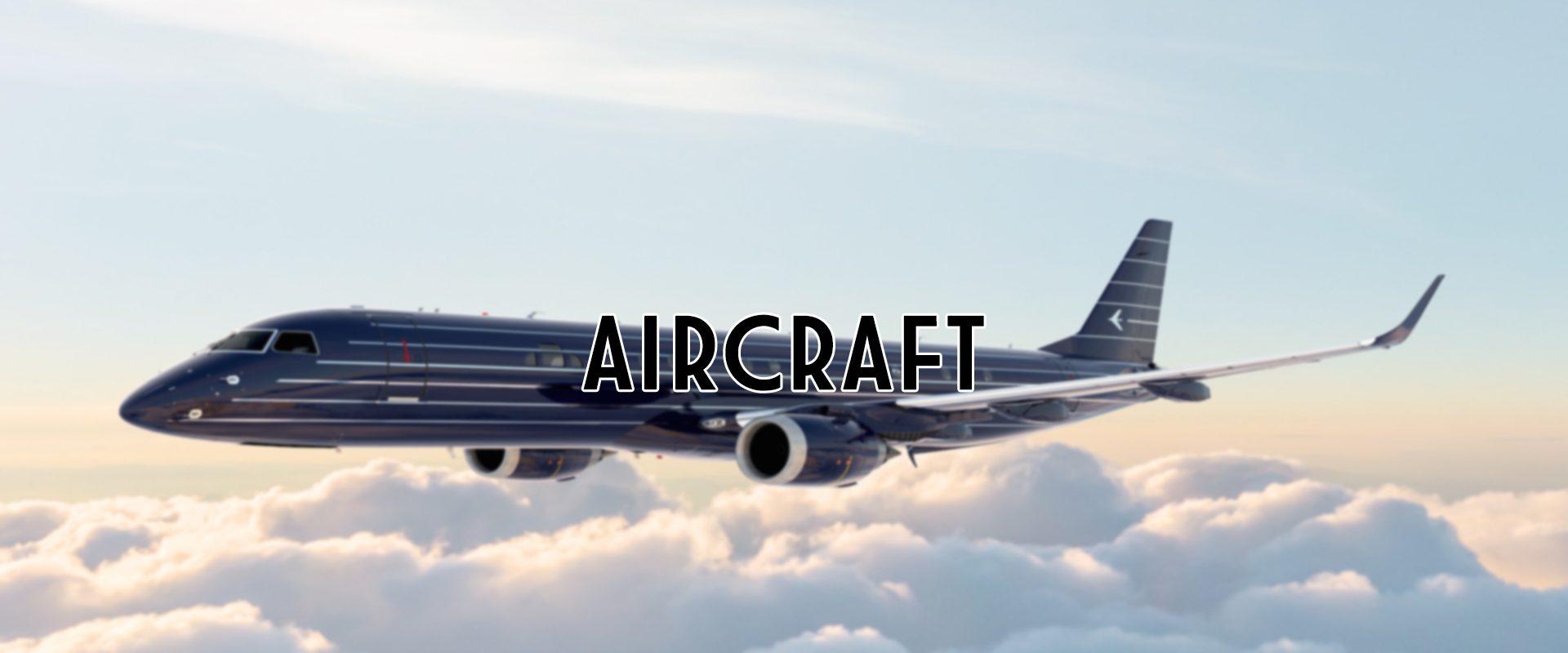 Aircraft Glass project by Advanced Glass Industries in South Florida — photo 9